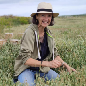 RETRAITE CUISINE ET CUEILLETTE